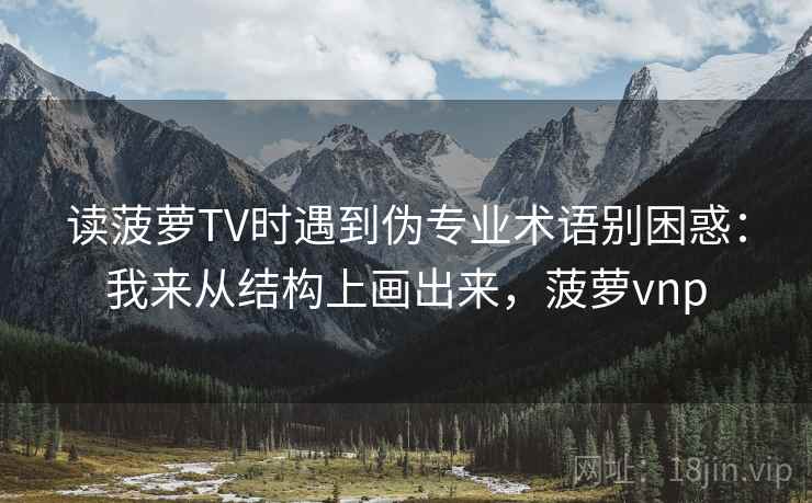 读菠萝TV时遇到伪专业术语别困惑：我来从结构上画出来，菠萝vnp