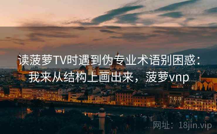 读菠萝TV时遇到伪专业术语别困惑：我来从结构上画出来，菠萝vnp